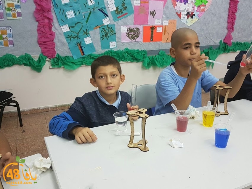 cimikal day (13).jpg